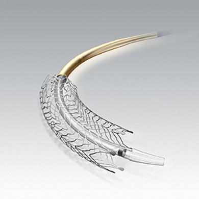 Absolute Pro™ Vascular Self-Expanding Stent System