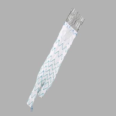 Zenith Alpha™ Abdominal Endovascular Graft Bifurcated Main Body Graft