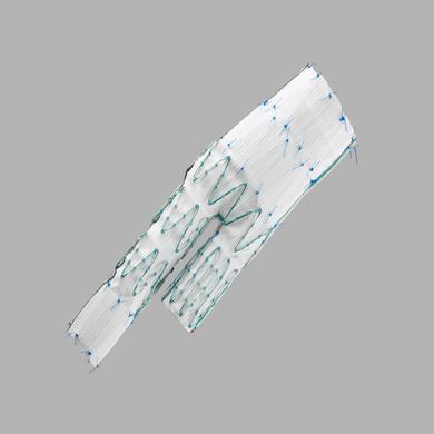 Zenith® Fenestrated AAA Endovascular Graft Distal Bifurcated Body Grafts