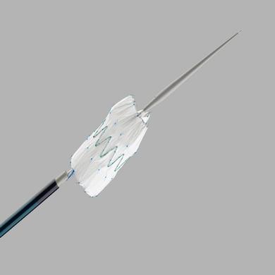 Zenith Flex® AAA Endovascular Graft Main Body Extensions