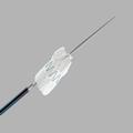 Zenith Flex® AAA Endovascular Graft Main Body Extensions