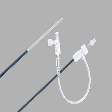 Flexor® Check-Flo® Introducer Set