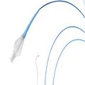 Merit Maestro® Microcatheter