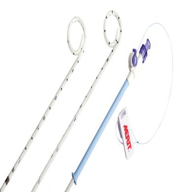 ReSolve+™ Biliary Locking Drainage Catheter