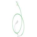 Q50® Stent Graft Balloon Catheter