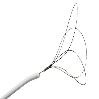 EN Snare® Endovascular Snare System